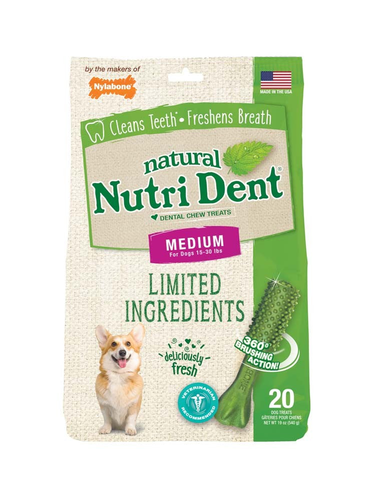 Nylabone Nutri Dent Fresh Breath Flavored Dental Chews Fresh Breath 1ea/Medium - 15 Lbs. To 30 lb