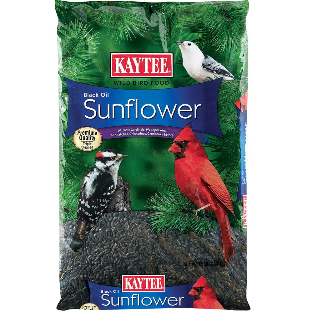 Kaytee Black Oil Sunflower Food 1ea/10 lb