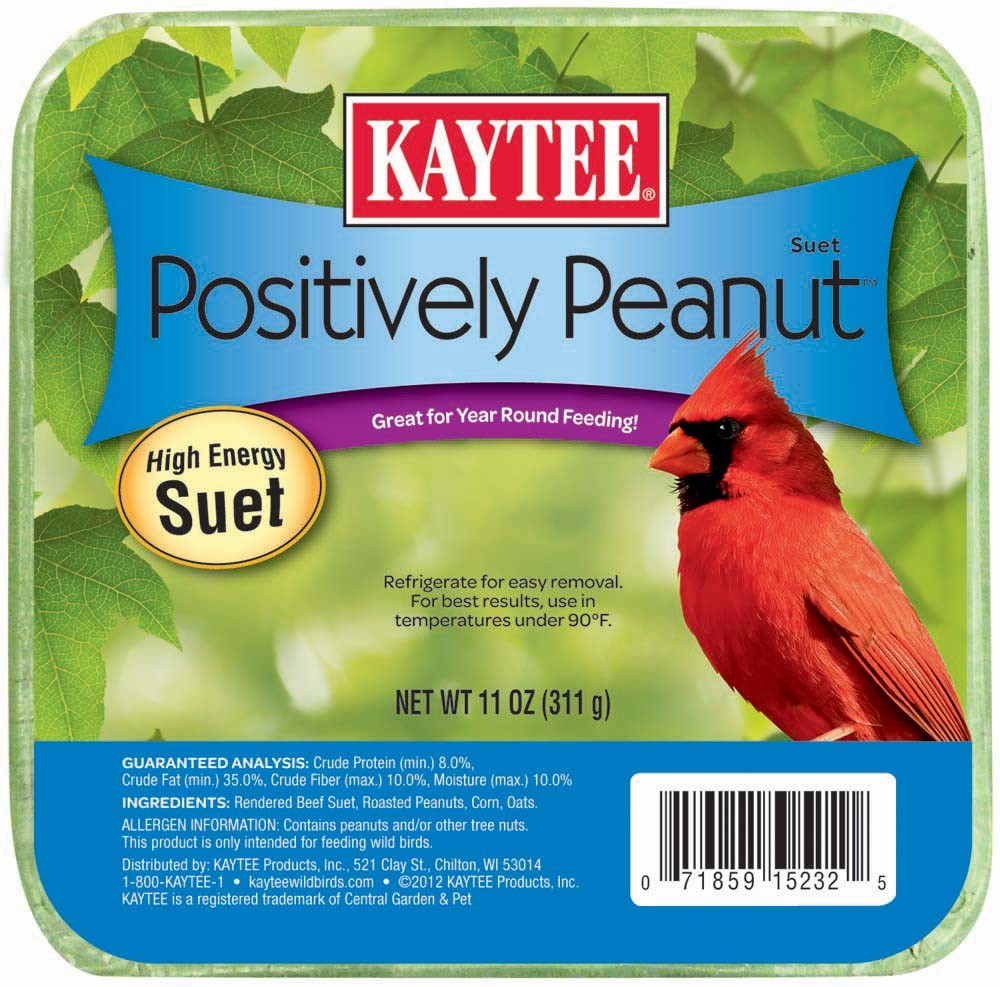 Kaytee Positively Peanut High Energy Mini Suet 1ea/11 oz