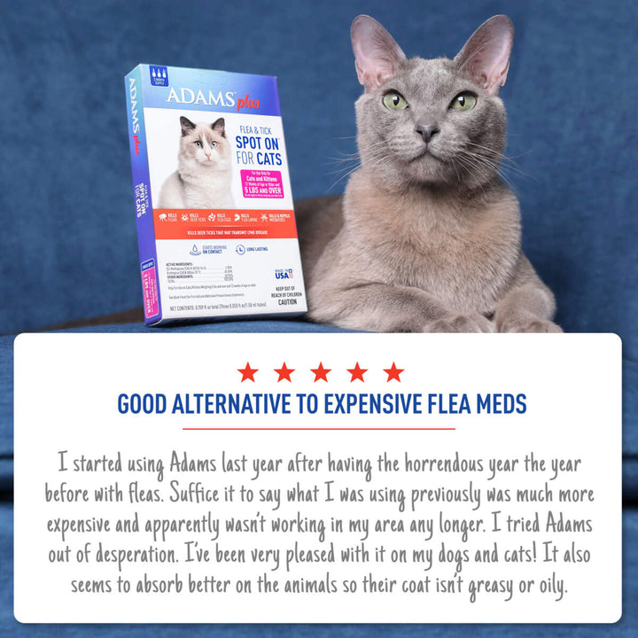 Adams Plus Flea & Tick Spot On for Cats & Kittens 1ea/Over 5 lb