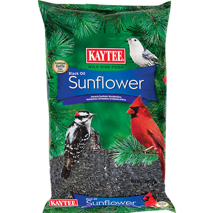 Kaytee Black Oil Sunflower Food 1ea/5 lb