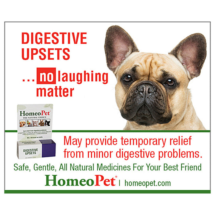 HomeoPet Digestive Upsets 1ea/15 ml