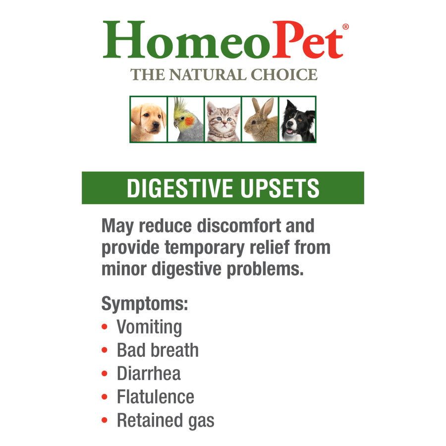 HomeoPet Digestive Upsets 1ea/15 ml