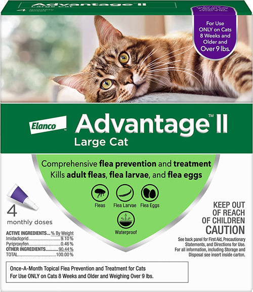 Advantage II Cat Large Purple 4-Pack (Case of 4)