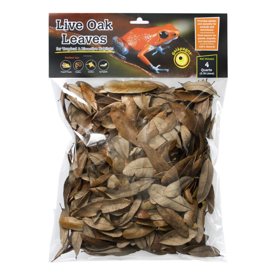 Galapagos Natural Live Oak Leaf Litter 1ea/4 qt