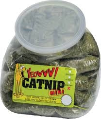 Yeowww! Catnip Mini Counter Display Jug 1ea/50 ct